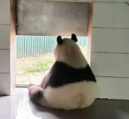 Ustedes preparadísimos esperando que anunciemos que arrancó el FARMASALE en farmacity.com