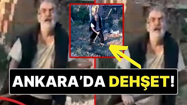 Güsoder
Sen  ve derneğin hayvanları hedef gösterdikçe, 

Sokaklarda, sapıklar, kadına şiddet uygulayanlar, kedi katilleri, köpek tecavüzcülerinin sayısı katlanarak arttı.

Bunların hepsine rağmen bir de utanmadan "bireysel silahlanma çağrısı" yaptılar.
#BurakAlanTutuklansın