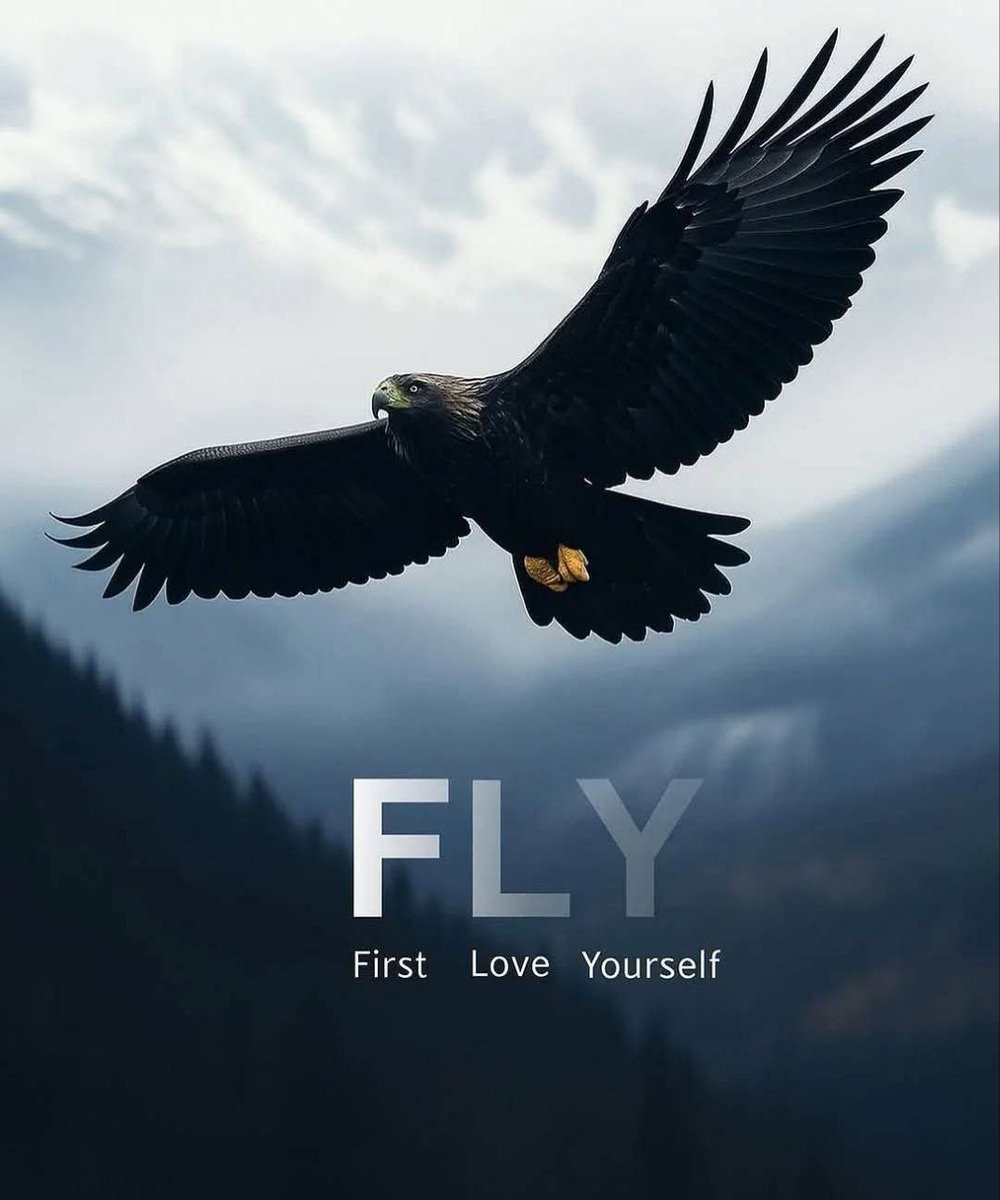 FLY