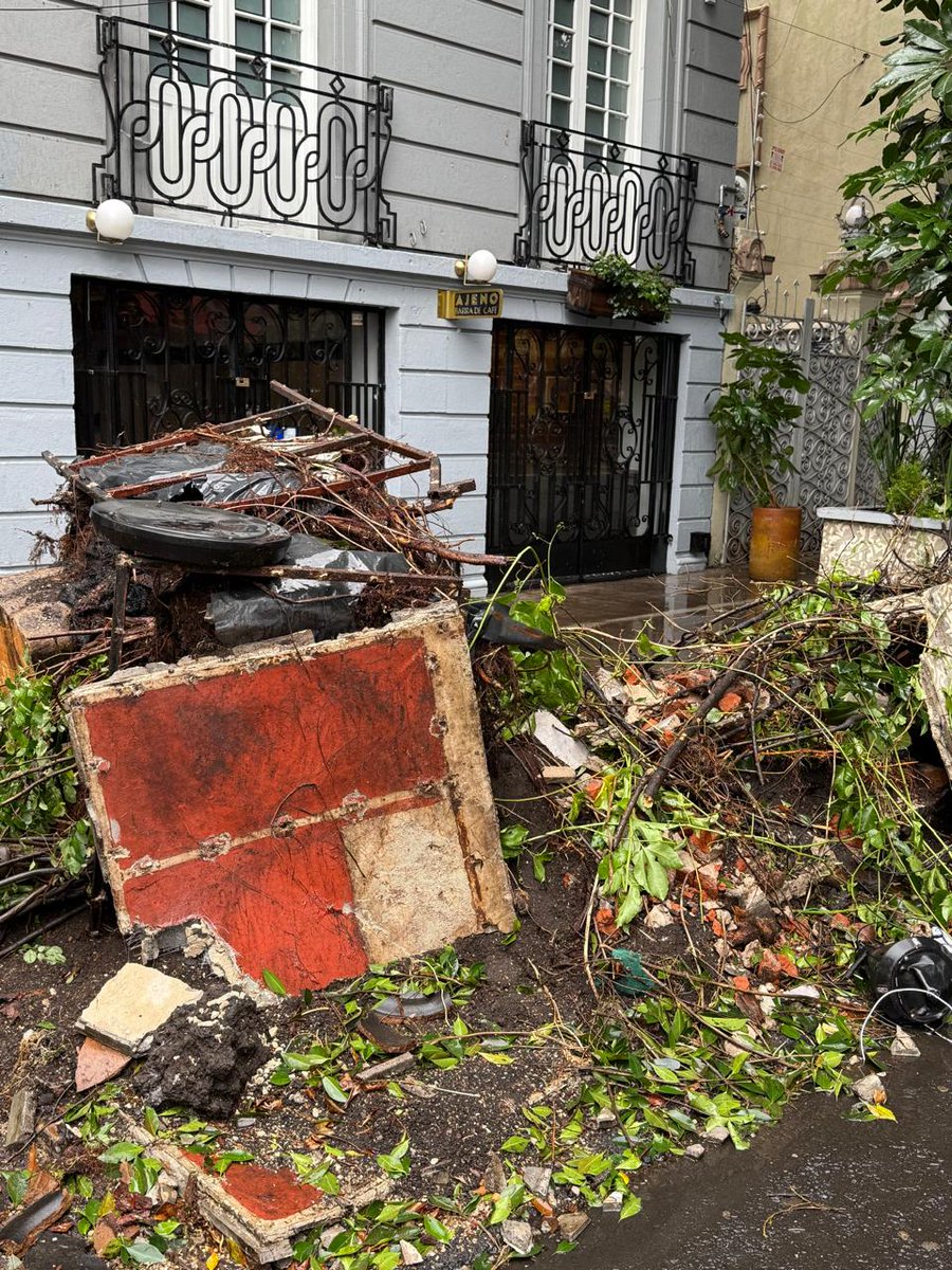 Miguel_STrev's tweet image. Hola @AlessandraRdlv tu equipo puede ayudar a entender qué pasó aquí? Parece que árboles, arbustos y jardineras en #RomaNorte fueron talados frente al bar Ajeno ubicado en Álvaro Obregón 126. ¿Era necesario hacer eso o lo hicieron los negocios para apropiarse del espacio público?