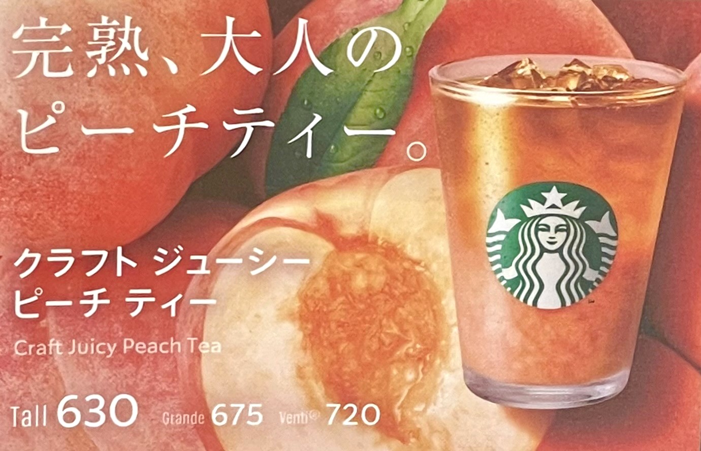 スタバ新作 - Search / X
