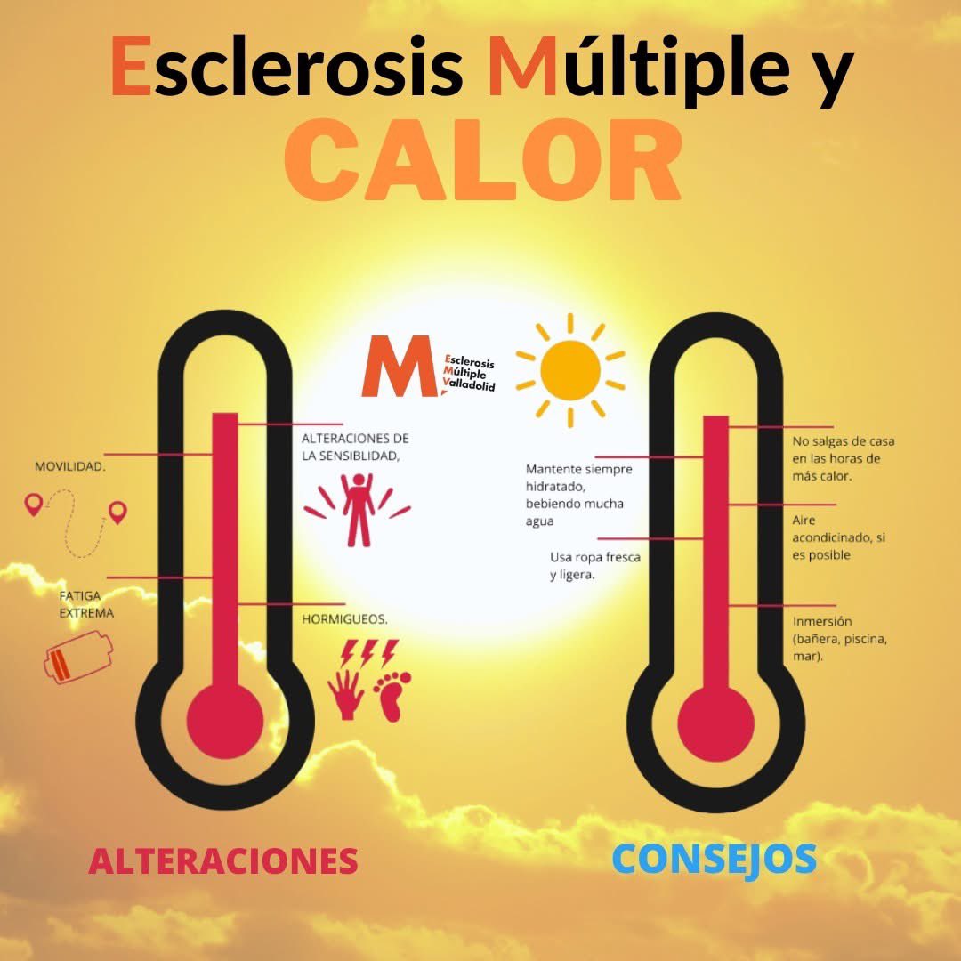 🌡💥La llegada de las altas temperaturas puede afectar a algunos de los síntomas de la #esclerosismúltiple, se estima que entre un 60% y 80% de las personas diagnosticadas se ven afectadas por el calor.
#emvalladolid #30añoscontigo  #calor #precaucion  #juntossomosmasfuertes