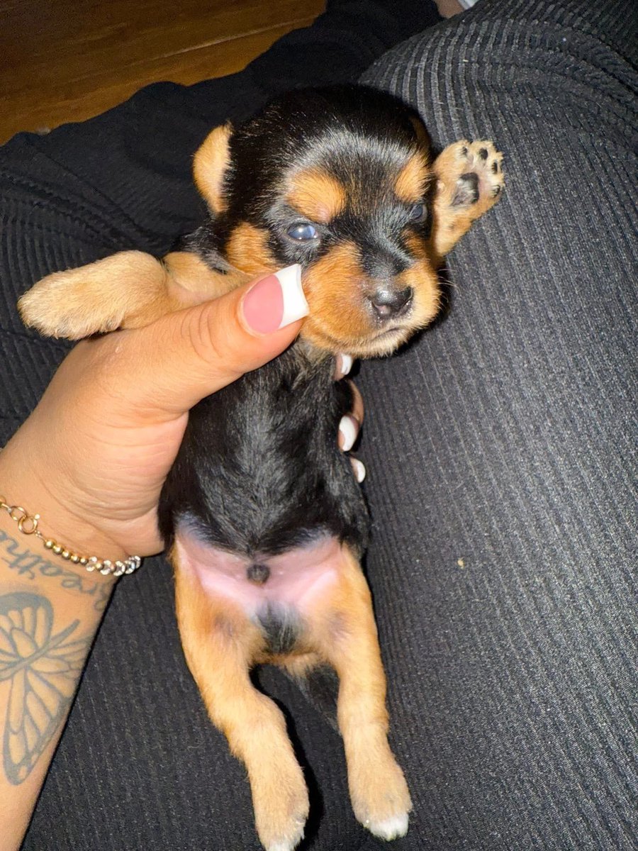 taija 🖤 tweet media