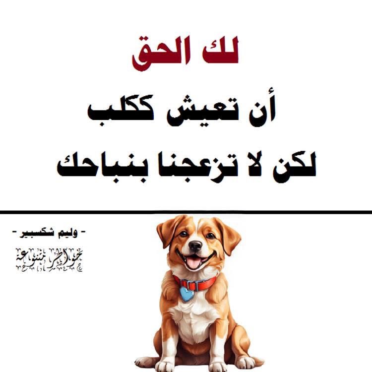 .
لك الحق أن تعيش ككلب
ولكن لا تزعجنا بنباحك .... 👍👍
.