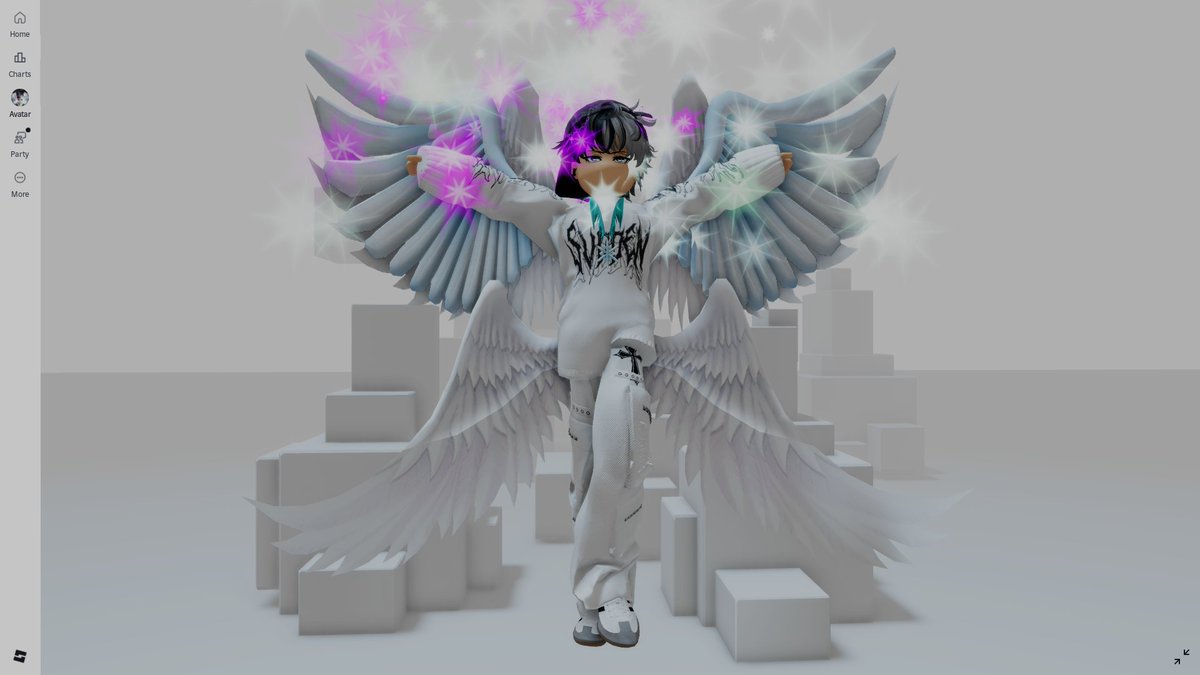 the owner                                            the ava