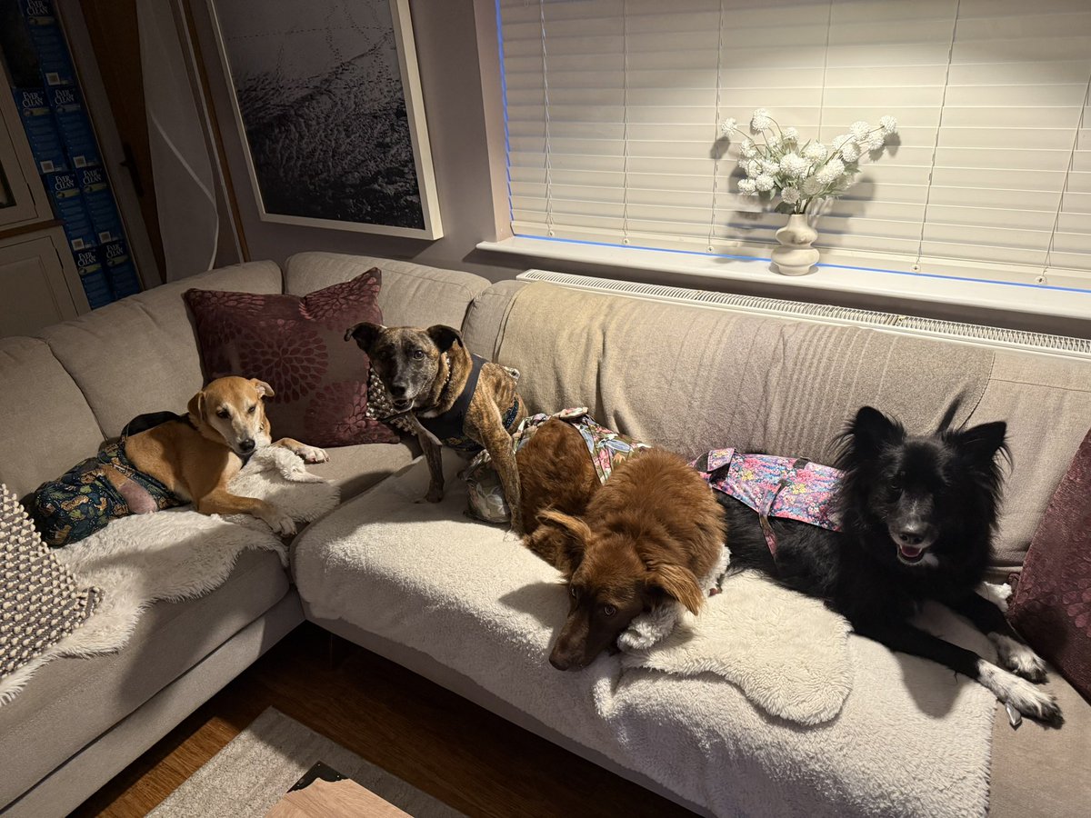 They love a Friday night in