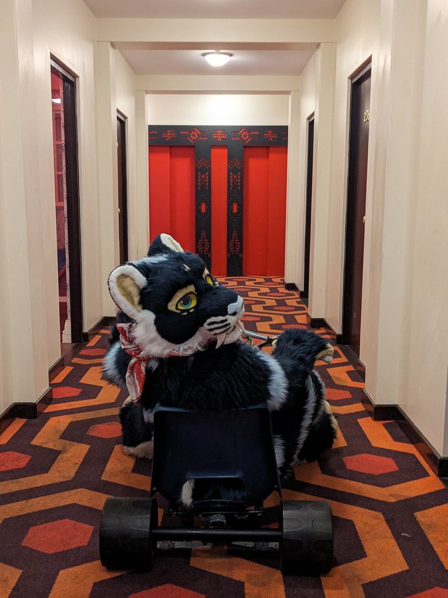 Come play with me
#FursuitFriday
📸 <a href="/ChurchillCanine/">Churchy</a>