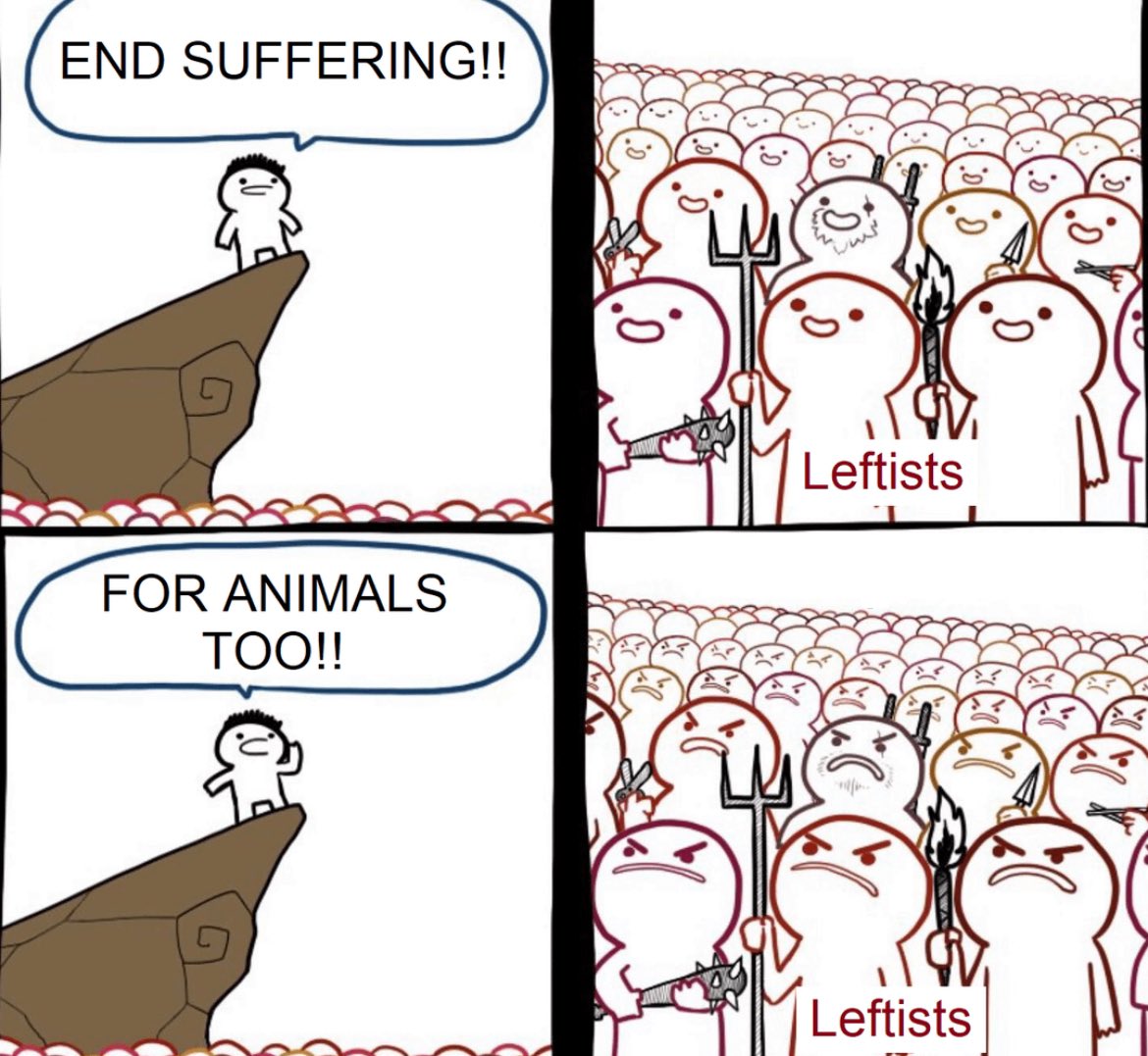 Why do they make vegan shoes look like shoes?!!