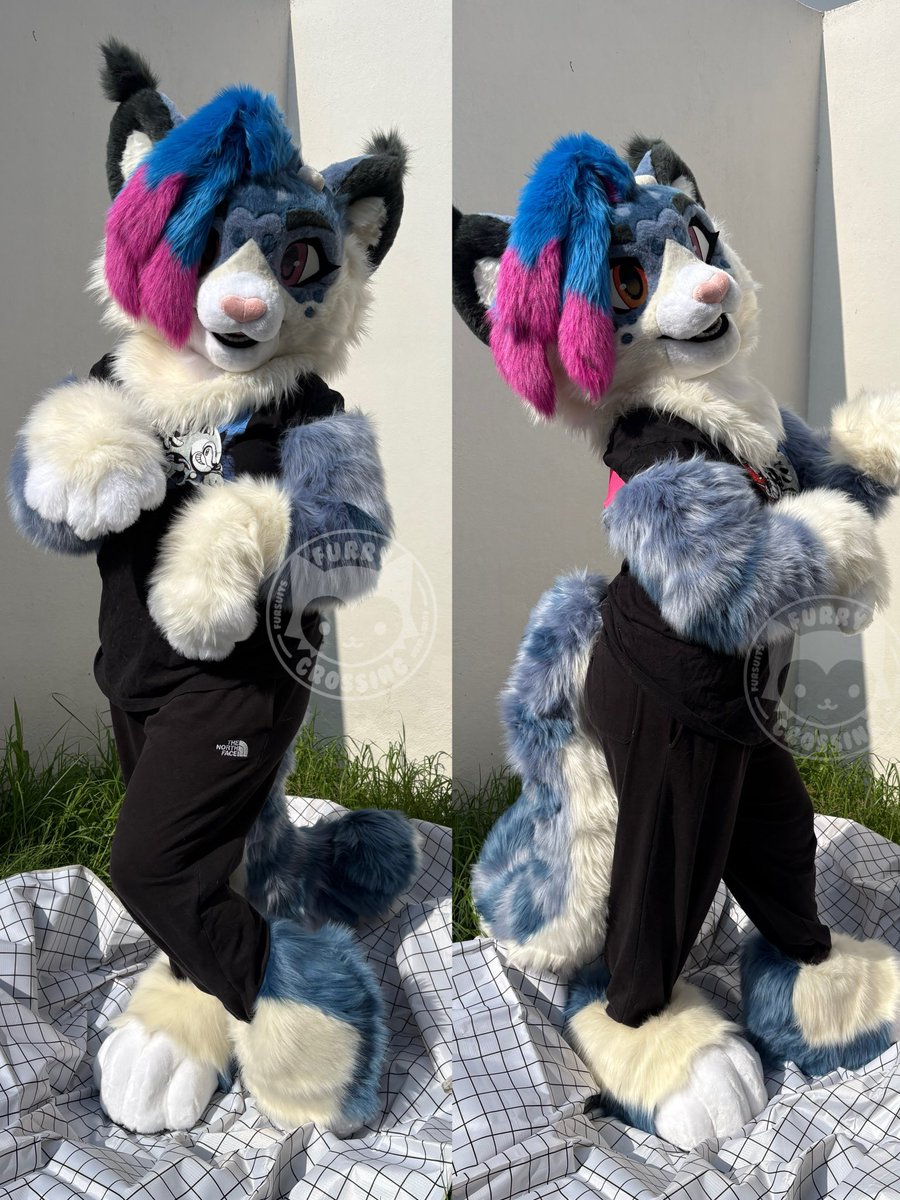 ✨💙💖Mocha 💖💙✨
she's already home < 3