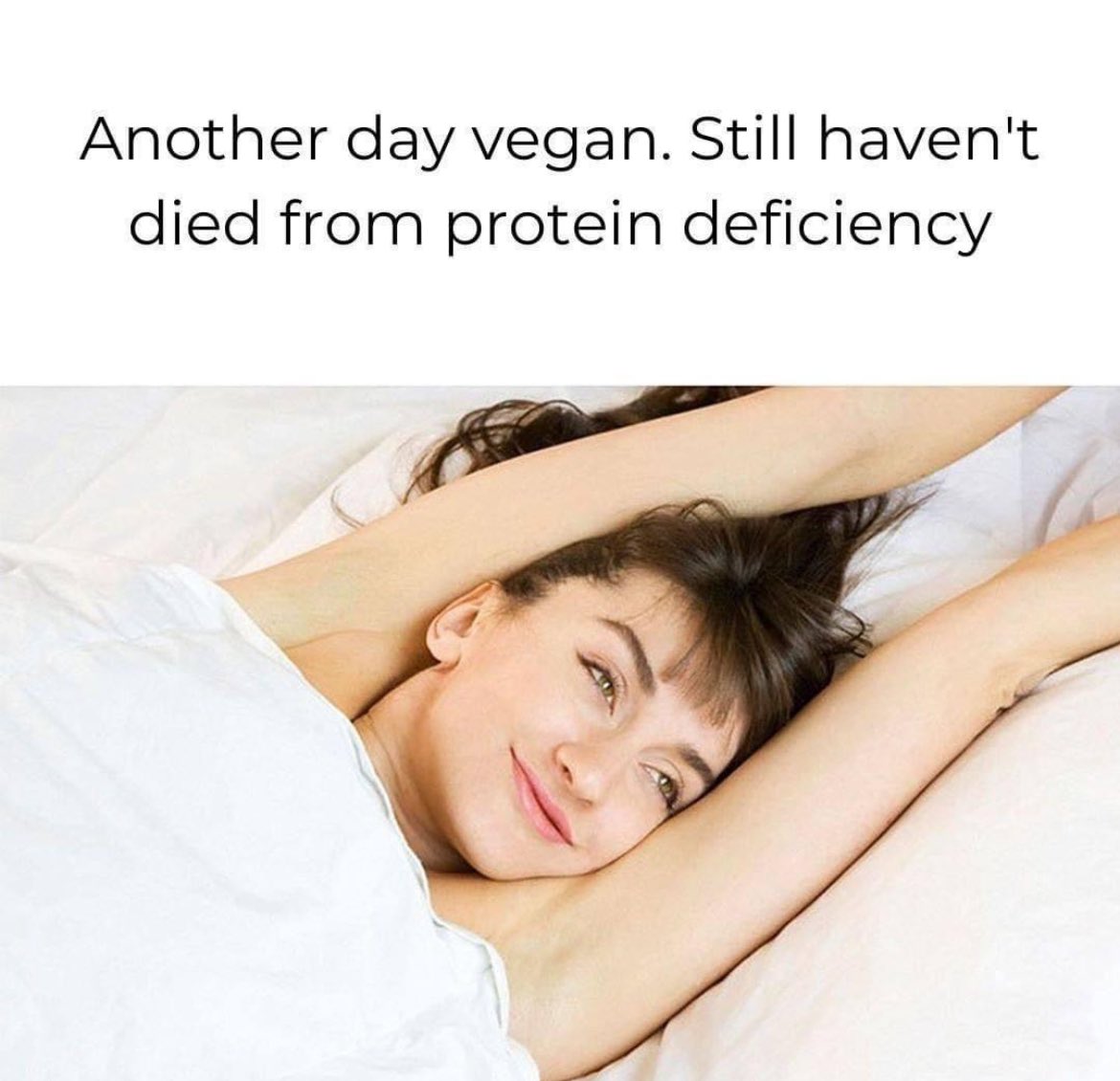 out of context vegan (@vegansarcasm) on Twitter photo 