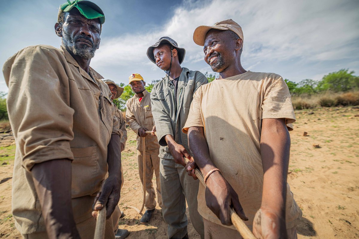 Being a ranger demands skill, vigilance, and resilience. From flying thermal drones and tracking with K9 units to reading the bush for snares and logging endangered species, rangers blend technology, fieldcraft, and endurance. #worldrangerday Thank you! #wewildafrica