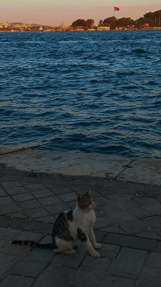 Deniz de bakım istiyor artık
 Orman da koruma 
Yeryüzü de , merhamet!..
Oruç Aruoba