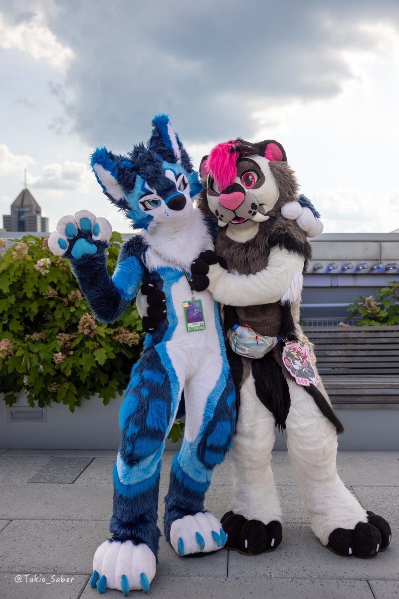 We’re all just cats 

#FursuitFryday 
📸 <a href="/Takio_Saber/">Takio 🔜 FE, FWA, AC</a>