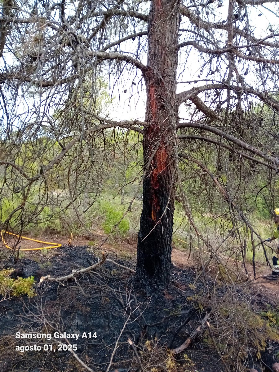 AdeneGeifa's tweet photo. 1/08/2025
GEIFA colaborando en la extinción de conato por rayo en #Enguera , zona de la séneca junto a base aérea ,3 vehículos y 10 voluntarios se incorporado al dispositivo de extinción.
Gran labor de todo el operativo. https://t.co/tECE7Wv6XU