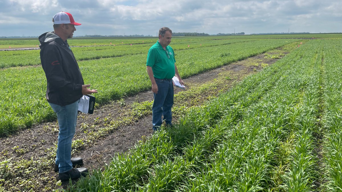 Tour season unfolding along with the future of weed management tech.
#ag #cropprotection #agtwitter