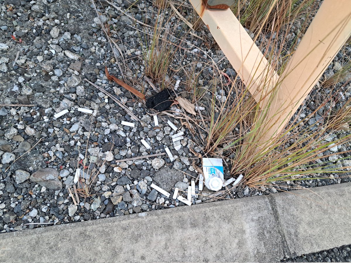 早朝からゴミ拾い開始。
持参した袋はもうパンパン、持ち帰れないゴミがあるのが悔しい…。
しかも、わざと隠すようにゴミを放置してるのを発見してモヤモヤ💢

#早朝活動 #ゴミ拾い #美化活動