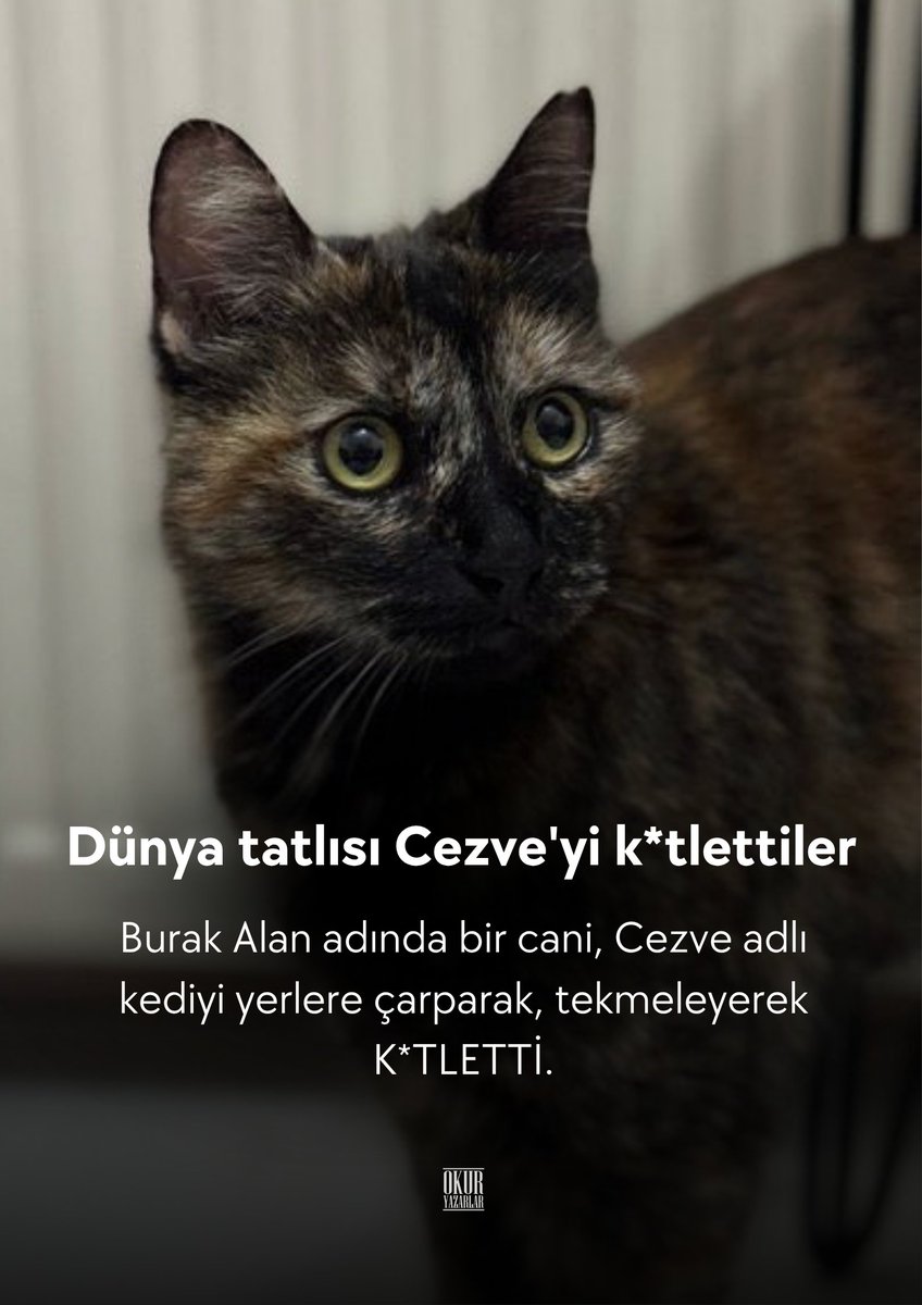 Dünya tatlısı Cezve'yi katlettiler.

Burak Alan adlı cani, sahipli kedi Cezve'yi, tıpkı Eros'u katleden İbrahim Keloğlan adlı cani gibi apartman girişinde yerlere çarparak ve tekmeleyerek katletti. Masum can #CezveİçinAdalet istiyoruz. 

#BurakAlanTutuklansın