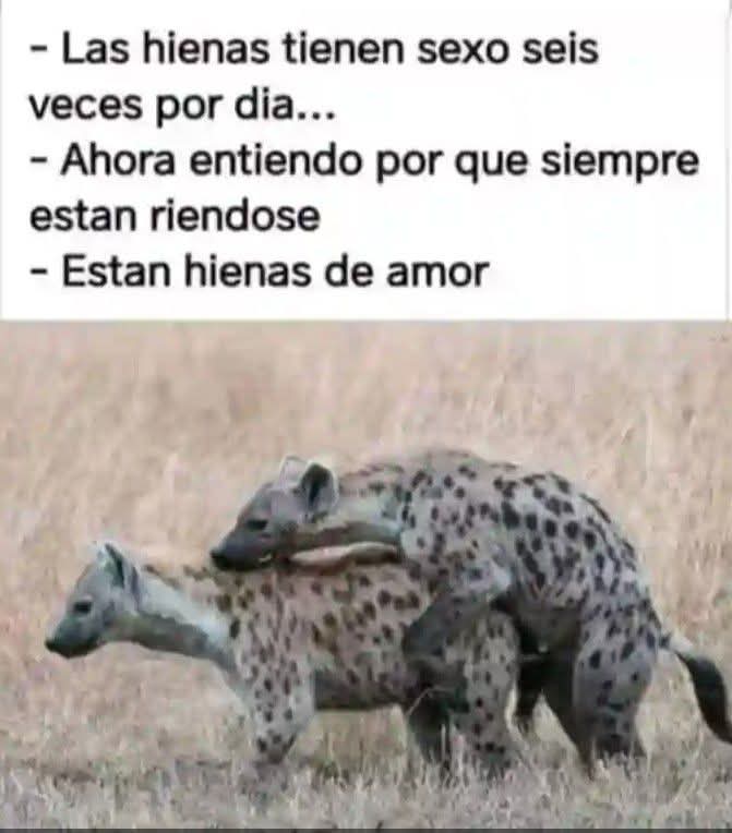 El Meme (@memessv7) on Twitter photo 