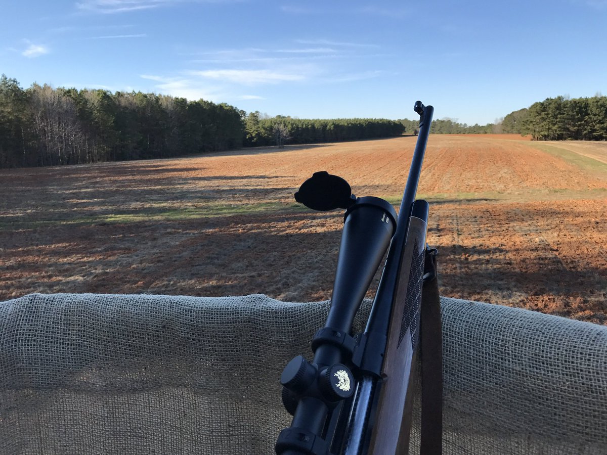 Time
Full of mischief

She passes like
Lightning flashes
On sunny beach days

On cold, damp
Mornings in
A deer stand
She stands
Still

Ever pressing
Ever waiting
Moving the
Moment
Forward
At her
Own
Pace

Always

#vss365
#mischief
My pic, cold day in NC