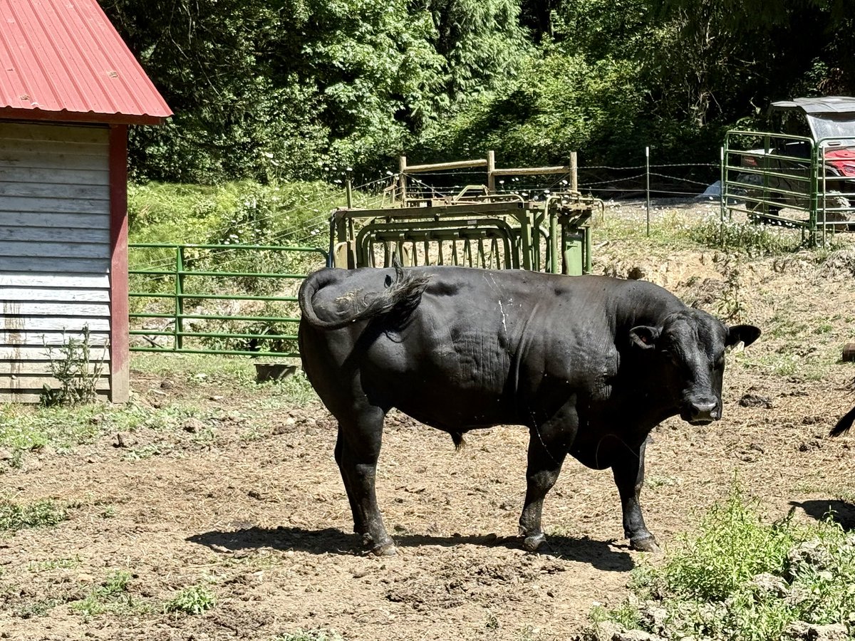 Dale Stark tweet media