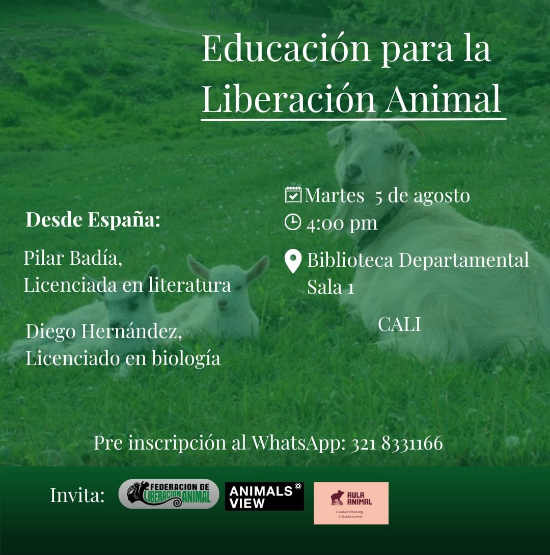 Terry Hurtado tweet media