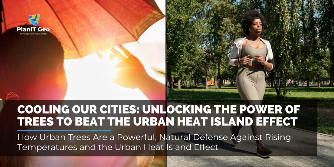 Urban foresters, city leaders, and green infrastructure professionals: as extreme heat events become the norm, the urgency for innovative, data-driven urban forestry has never been greater. 

bit.ly/4f1JFGo