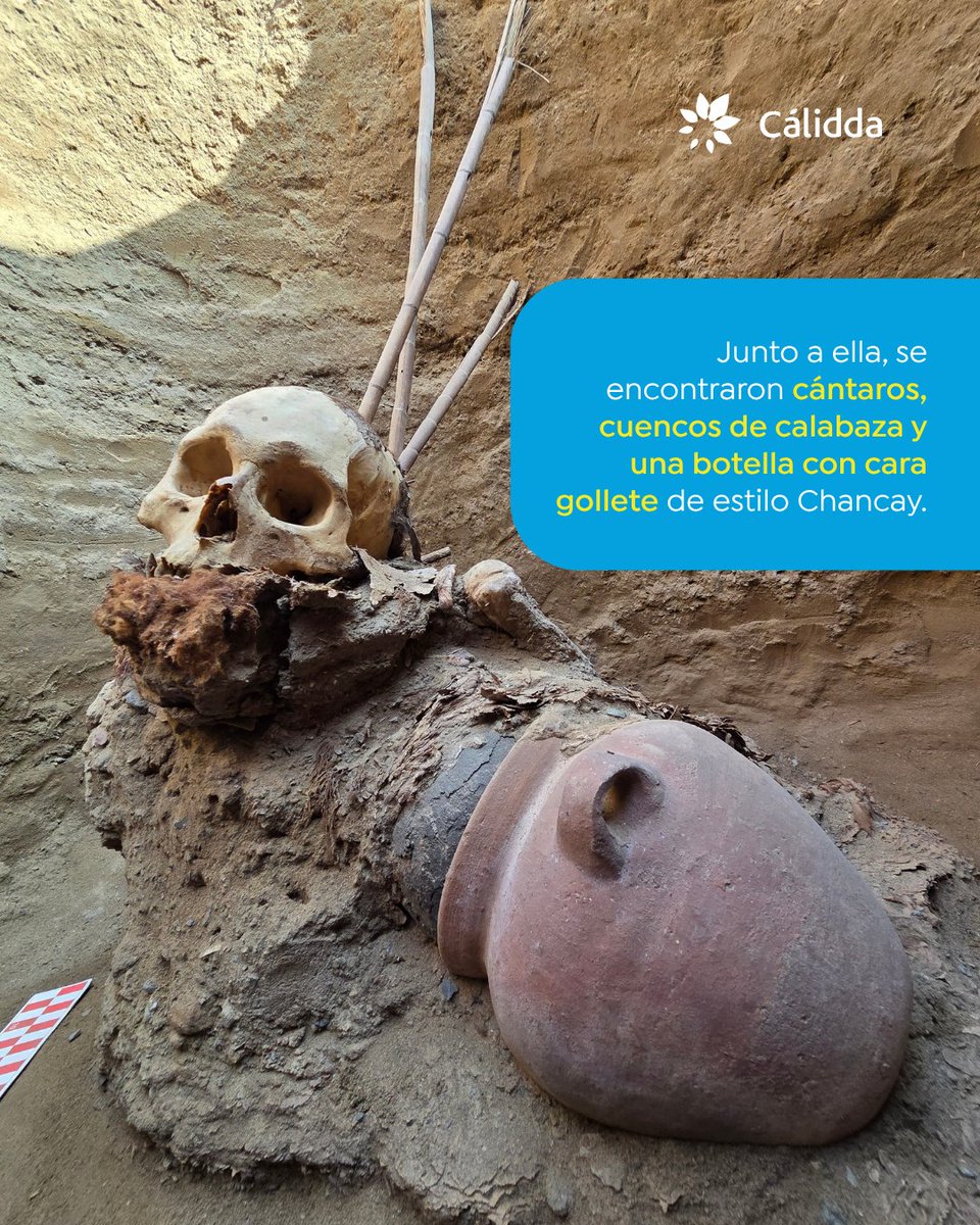 Durante la ampliación de redes en Puente Piedra, descubrimos una tumba tubular de más de 1,000 años de antigüedad, perteneciente a la cultura Chancay. En su interior reposaba una joven con un valioso ajuar compuesto por vasijas, instrumentos de hilado y una botella con rostro,