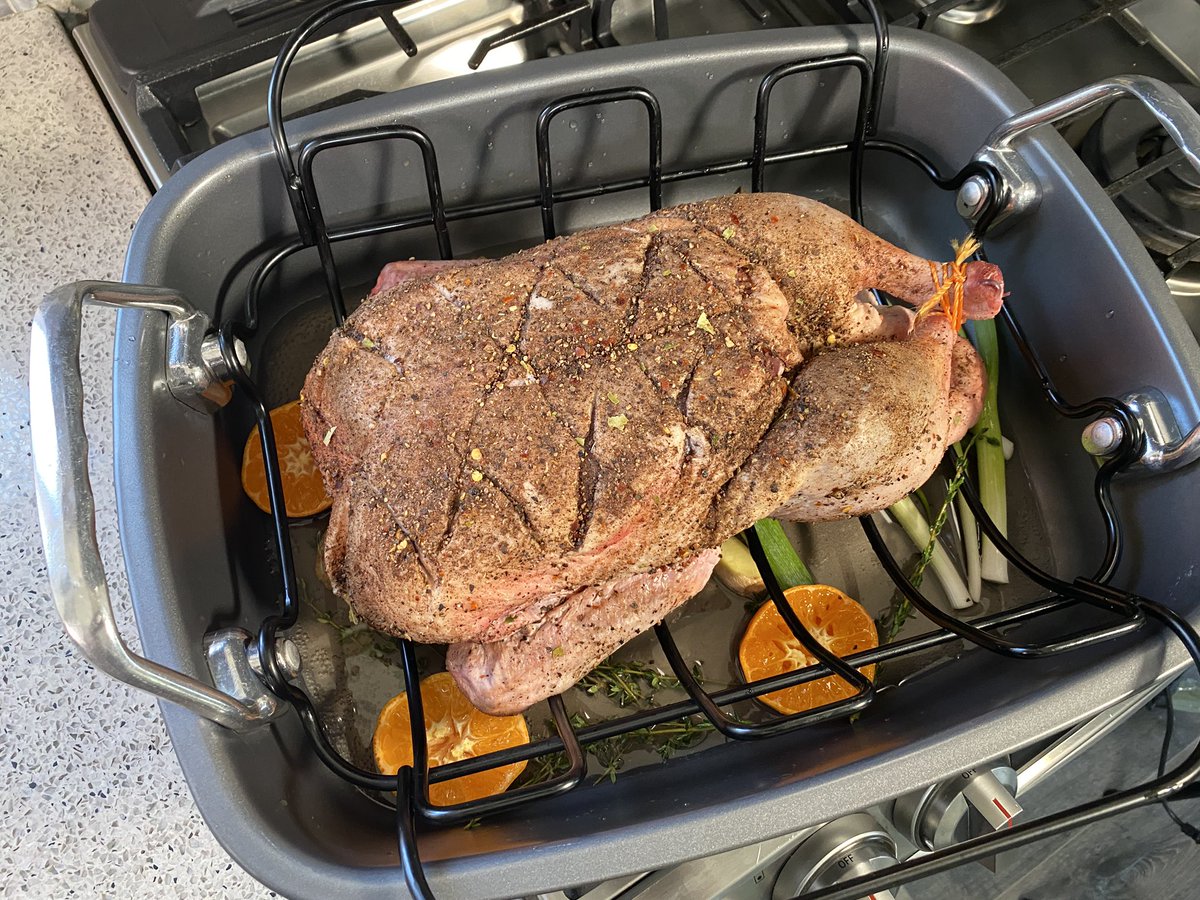 Obzokee's tweet image. Dried Brined - smoke bath time. No curry will be harmed #duck