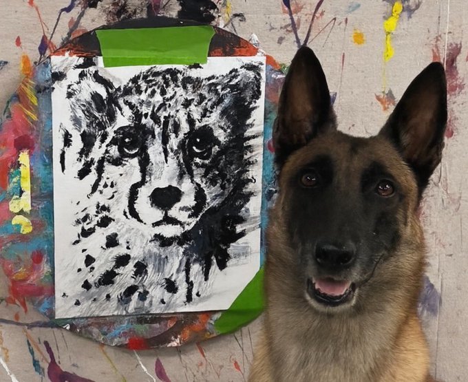 Hukka188's tweet photo. @spacesudoer A lot of love and trust in this. $Monkey's father @Omar_von_Muller is a renowned doggy whisperer and $Monkey is a Belgian Malinois, a breed eager to learn, they are most happy at learning and working with their alphas. $Monkey is a pup out of this world 🥰🎨 https://t.co/HsZ5Kfflu5