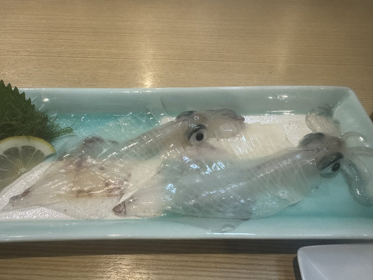 Umetarou tweet media