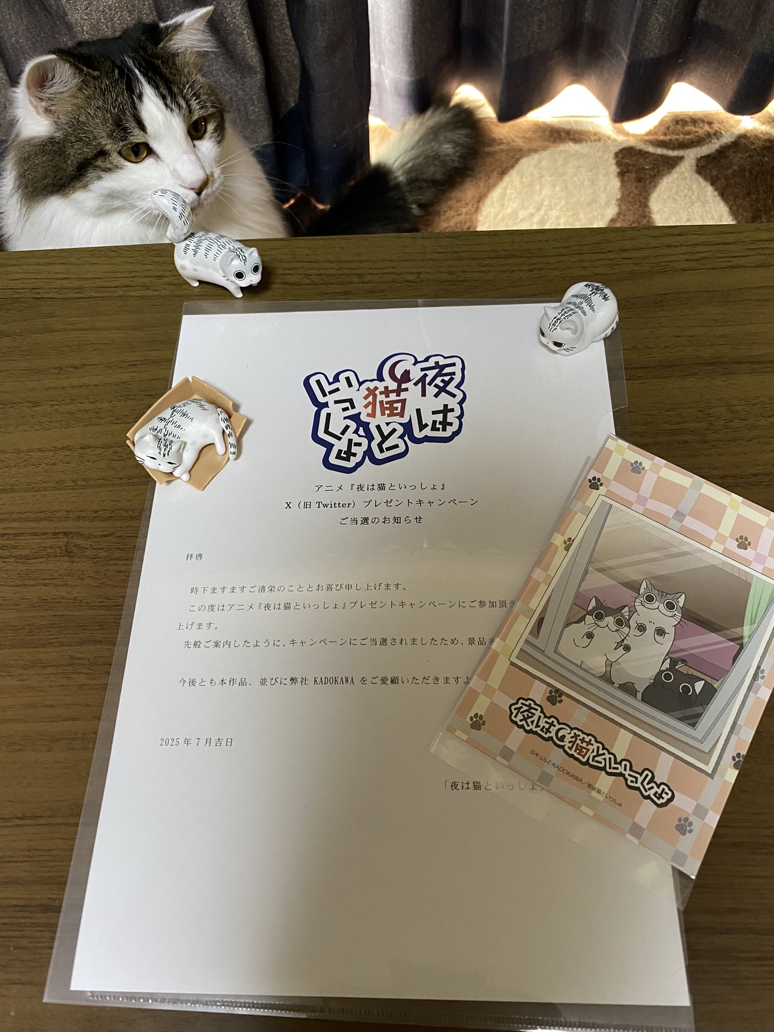 かまぼこちゃん🤍🍒和服の人 on X: 