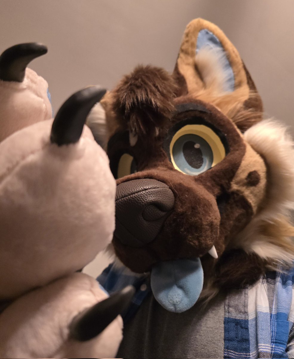 First day of dogust has me feeling weird 🐕

#FursuitsFriday 
#TFEveryday