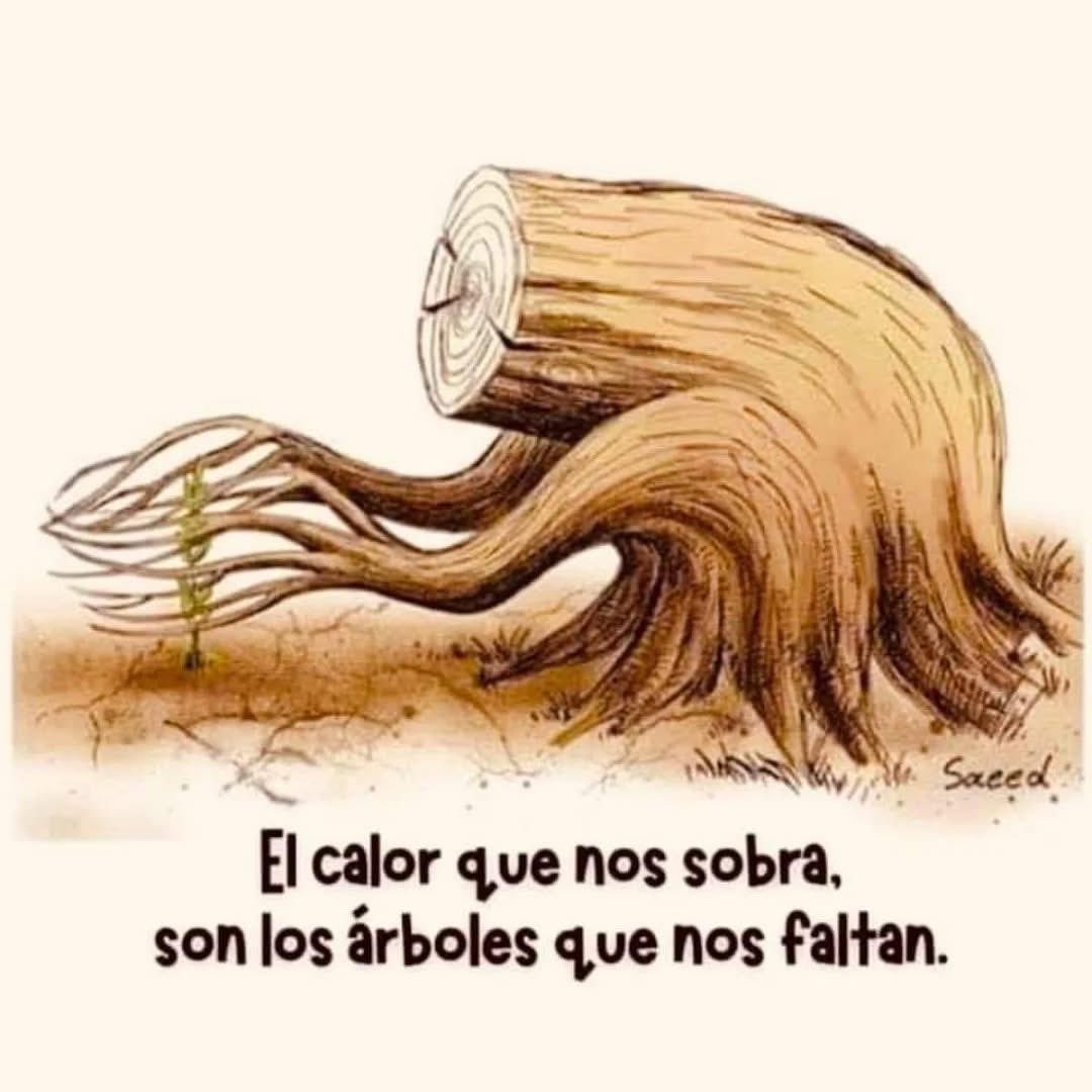 Rincón Curioso (@rincncuriosoo) on Twitter photo 