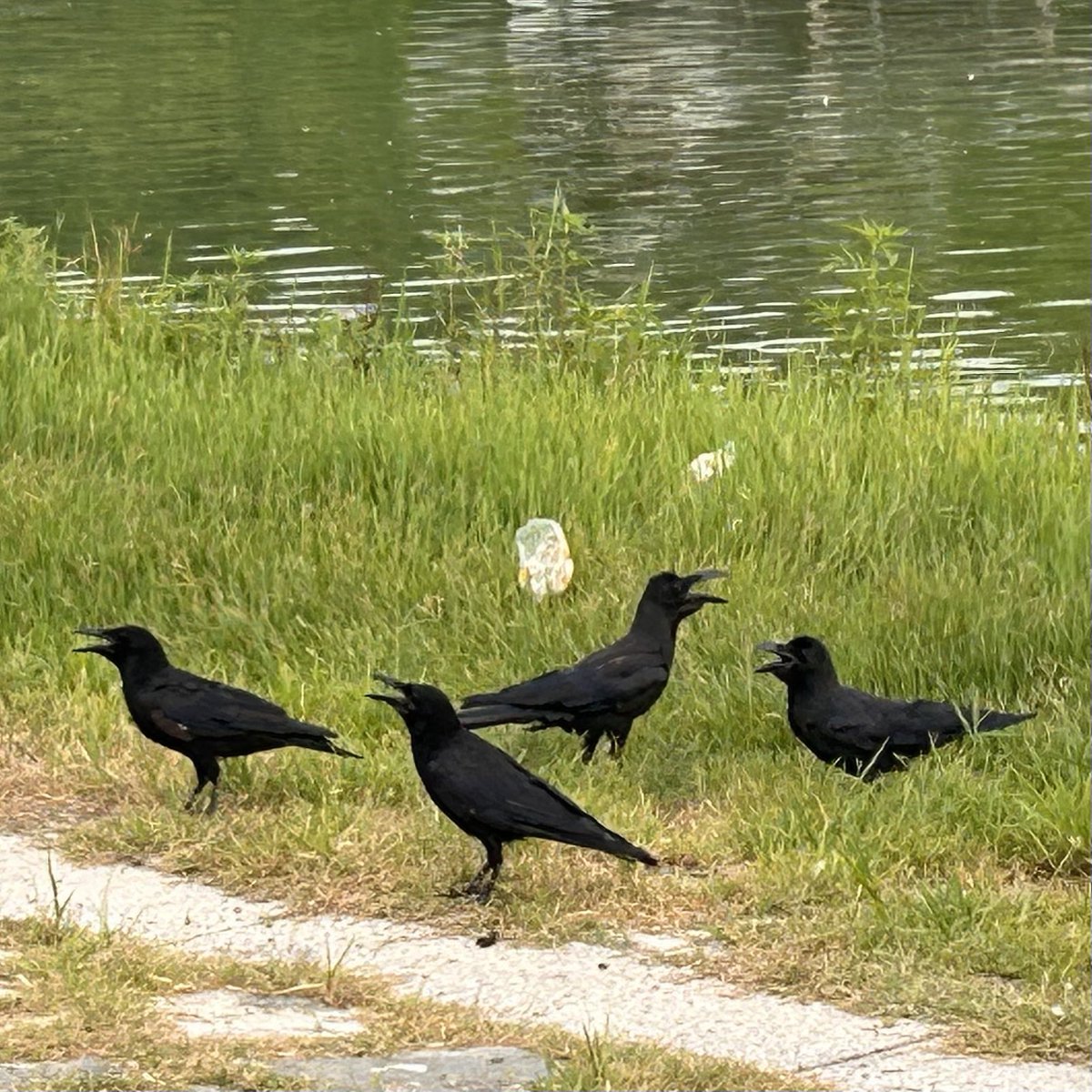 Found your Heaven? tweet media