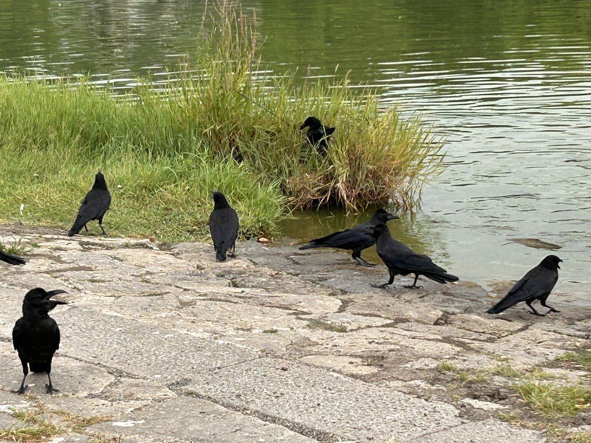 Found your Heaven? tweet media