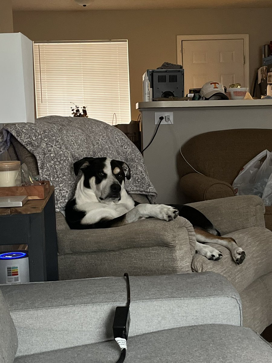 ShrimpScaaa's tweet photo. Bandit will help u… but only for a price https://t.co/SmhfcYjo1f