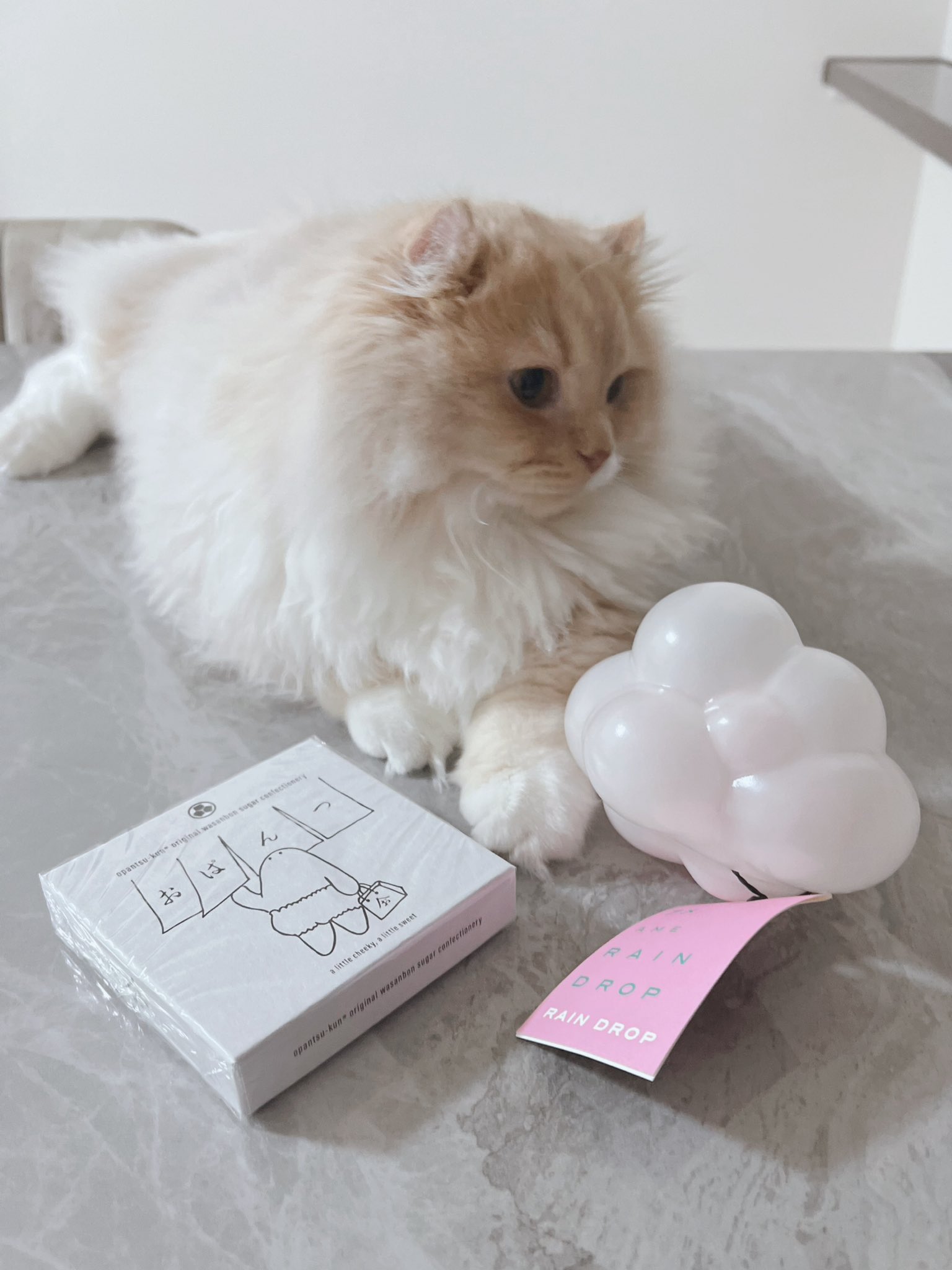 きな粉。 (@kinako099) / X