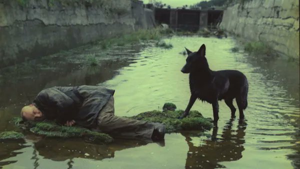 santodrives's tweet photo. "When man is born, he is weak &amp; supple. When he dies, he's hard &amp; stiff. A growing tree is tender &amp; pliant; when dry &amp; hard, it dies. Hardness &amp; strength are death’s companions. Pliancy &amp; weakness are signs of life. What has hardened will never win." (Stalker, 1979 – Tarkovsky) https://t.co/0HtFuPpdjM