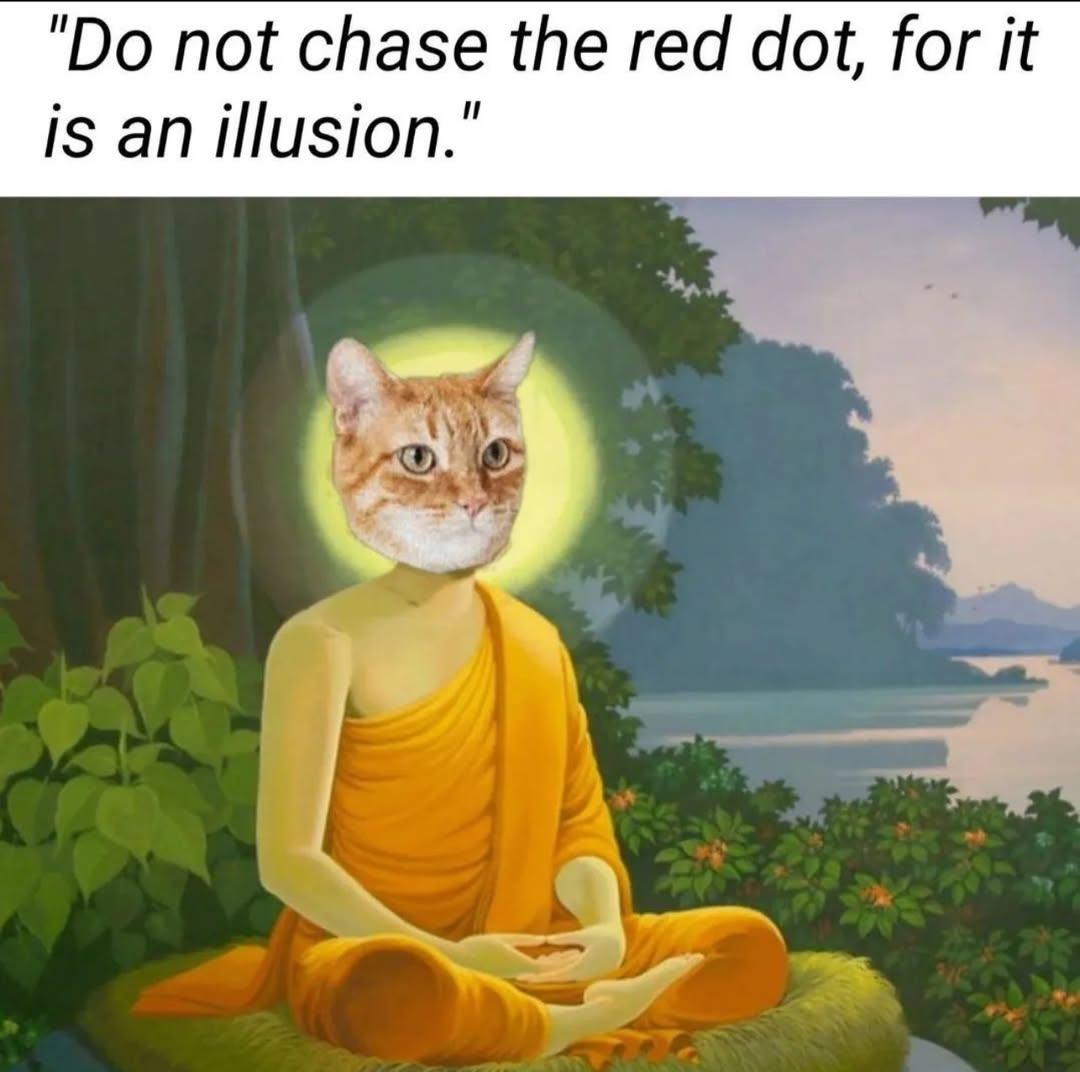 🐈‍⬛