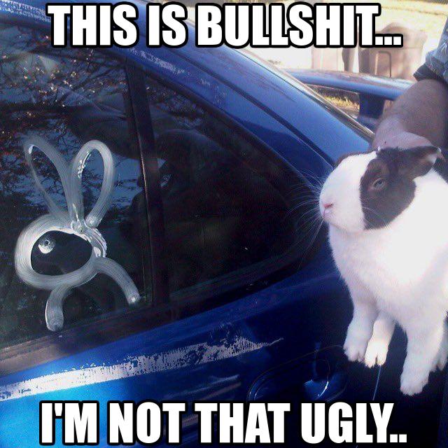 Riley :3 (bnuuy coded🐇) (@swarce_) on Twitter photo 