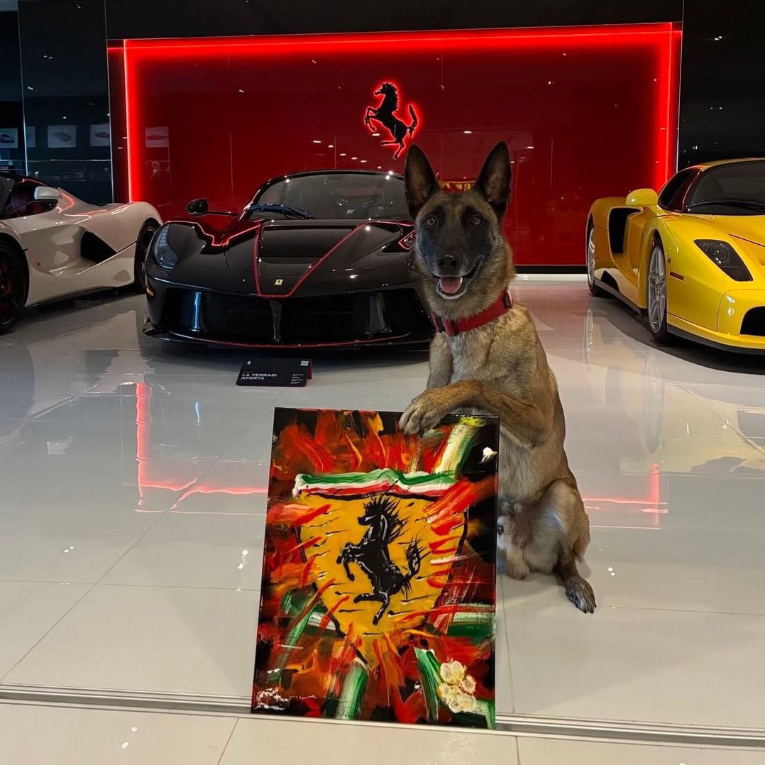 Hukka188's tweet photo. @spacesudoer This is $Monkey, the most talented 4 legged artist. He sold a Ferrari logo paint for 15k, but he has a load of skills, he skateboards, climbs walls, slingshots, is an actor in movies, gives interviews for TVs, magazines, etc. The list goes on. https://t.co/EHHseds2Py