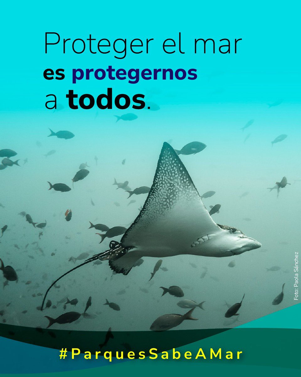 ParquesColombia's tweet photo. En el #DíadelasÁreasMarinasProtegidas recordamos que el mar también cuida de nosotros.
Colombia protege 20 áreas estratégicas donde manglares, pastos marinos y arrecifes almacenan carbono, resguardan la biodiversidad y ayudan a enfrentar el cambio climático.
#ParquesSabeAMar https://t.co/IsD2iWeWWg