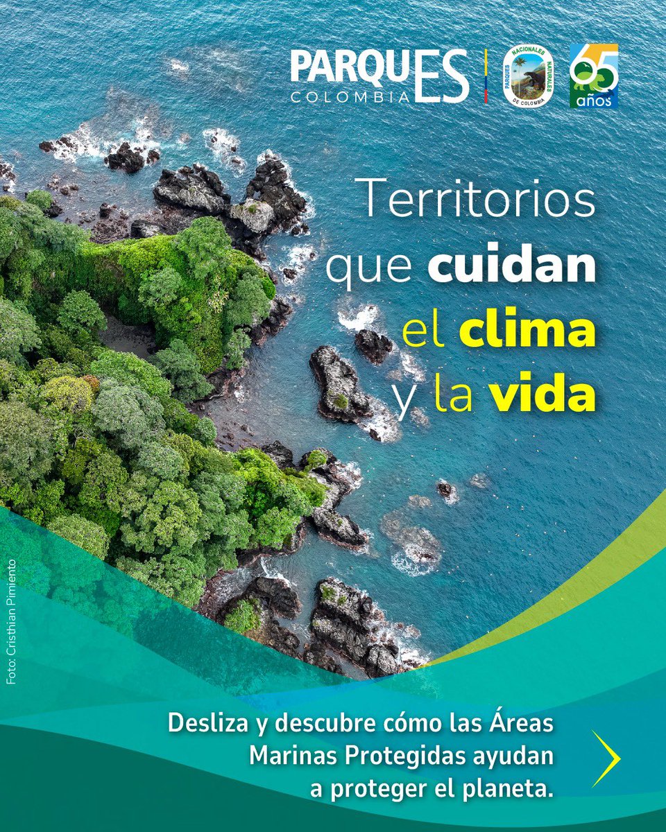 ParquesColombia's tweet photo. En el #DíadelasÁreasMarinasProtegidas recordamos que el mar también cuida de nosotros.
Colombia protege 20 áreas estratégicas donde manglares, pastos marinos y arrecifes almacenan carbono, resguardan la biodiversidad y ayudan a enfrentar el cambio climático.
#ParquesSabeAMar https://t.co/IsD2iWeWWg