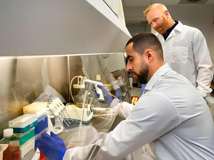 University of Nevada, Reno (@unevadareno) on Twitter photo Led by Matthew Bolino, a doctoral candidate in biochemistry and Steven Frese, an assistant professor in the Department of Nutrition at <a href="/unrcabnr/">UNR College of Ag, Biotech & Natural Resources</a>, the research found key differences between lab-made whey protein and the kind that comes from cows. bit.ly/4l4ZhdA Led by Matthew Bolino, a doctoral candidate in biochemistry and Steven Frese, an assistant professor in the Department of Nutrition at <a href="/unrcabnr/">UNR College of Ag, Biotech & Natural Resources</a>, the research found key differences between lab-made whey protein and the kind that comes from cows. bit.ly/4l4ZhdA