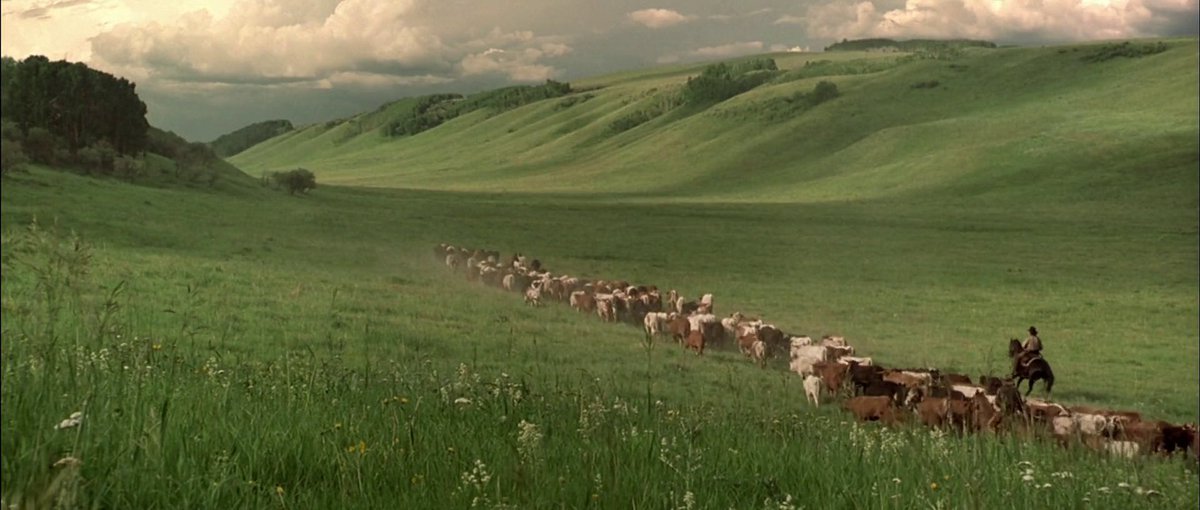HookemGeneral's tweet photo. @ATRightMovies Open Range https://t.co/hBuD30UZeG
