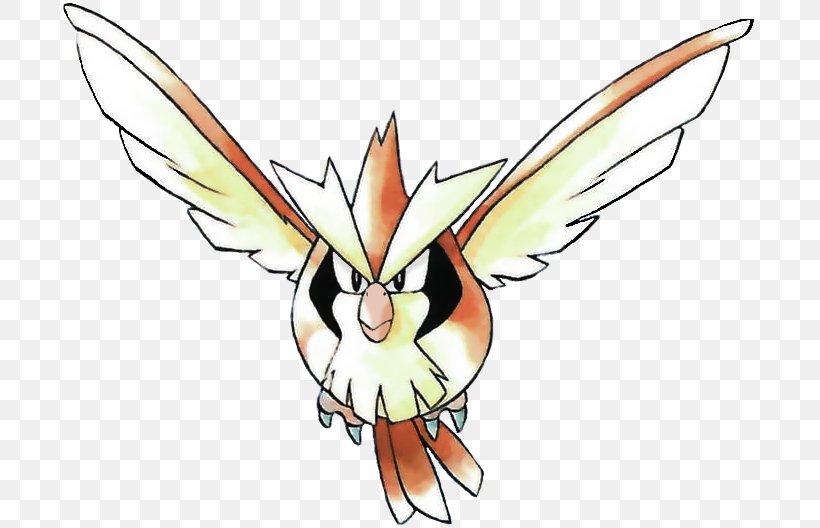 Pidgey🍞🐝 tweet media