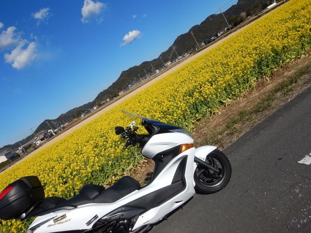 kanegonmugisyu's tweet photo. #毎月2日は2気筒の日 

現在、所有している2気筒は、#F700GS と #SilverWingGT600 の2台でして、当たり前ですが、どちらもめっちゃ大切にしていますよ♪

#バイク乗りと繋がりたい https://t.co/ottQZdbqeg