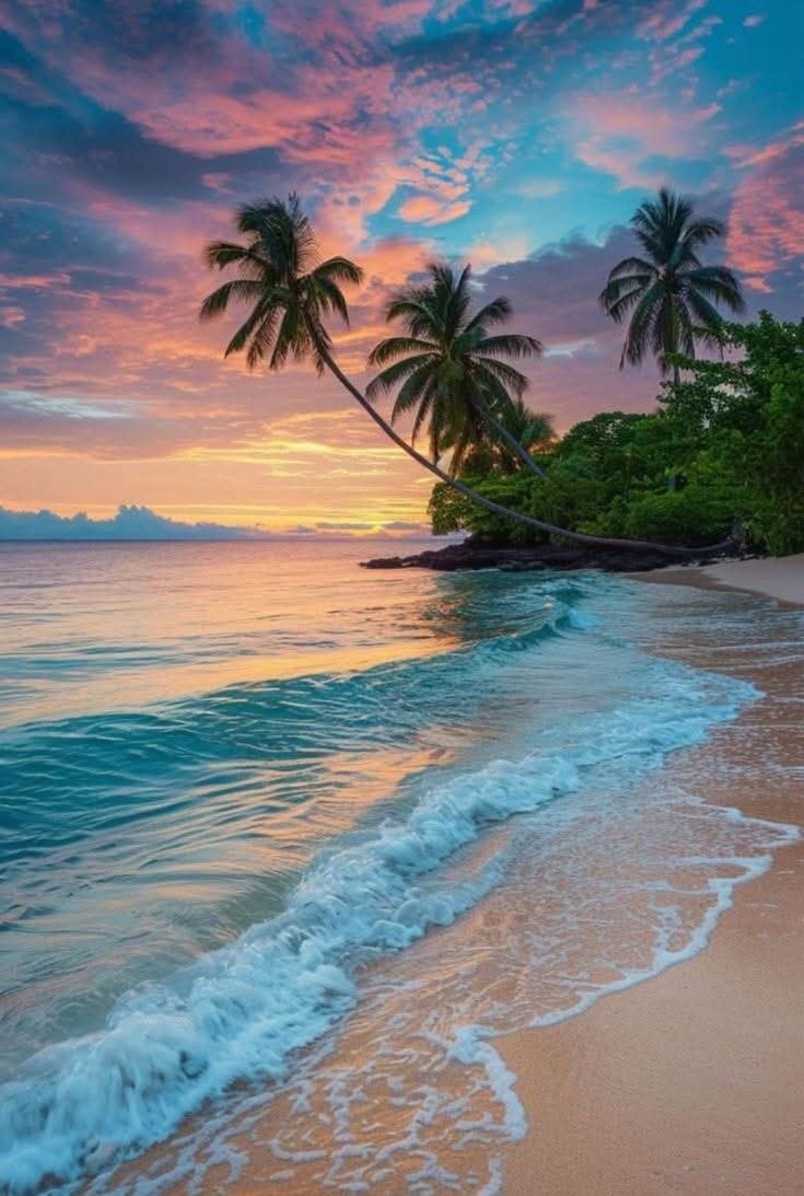 Aesthetics (@aestheticspost_) on Twitter photo 