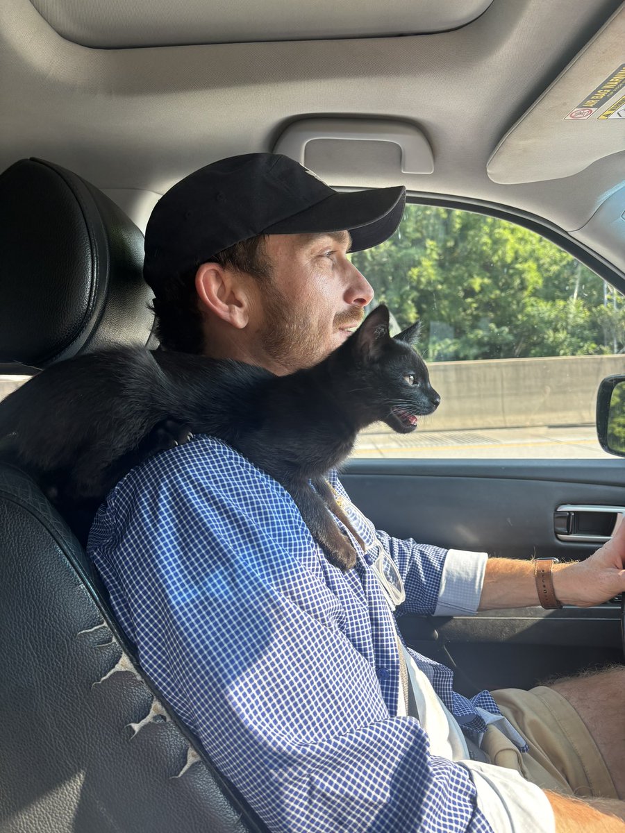 That Supply Chain Guy tweet media