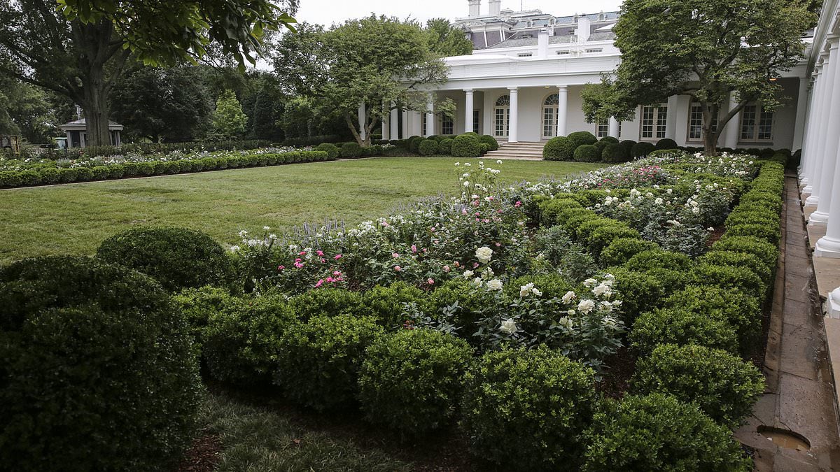 𝓛𝓮𝓸𝓷 tweet media